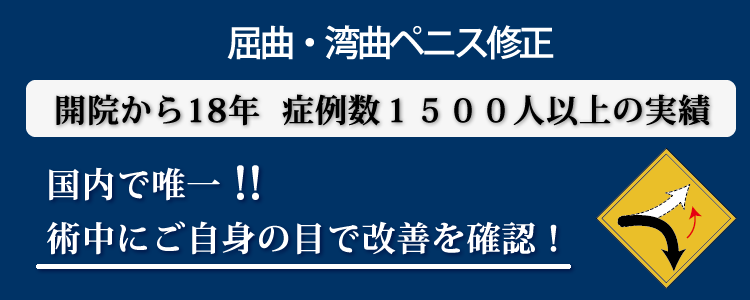 作品社|ペニスの文化史