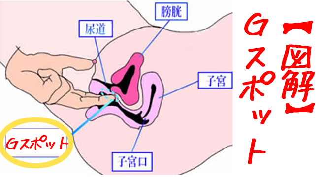 Gスポットの見つけ方と開発方法！攻め方やおすすめ体位を徹底解説｜風じゃマガジン