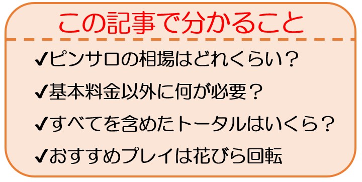 OP一覧（18） アイドルCh - 藤沢/ピンサロ｜風俗じゃぱん