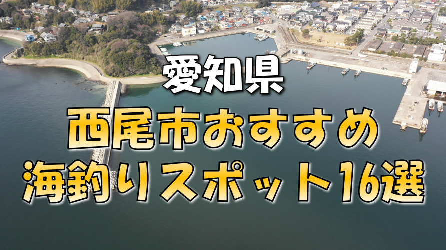 アサリ見つけたよ！ 西尾・東幡豆海岸で潮干狩り解禁：中日新聞Web