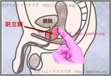 元AV男優の解説】男がアナニーで絶頂する方法！前立腺を刺激して射精する気持ちよさはセックス以上 | Trip-Partner[トリップパートナー]