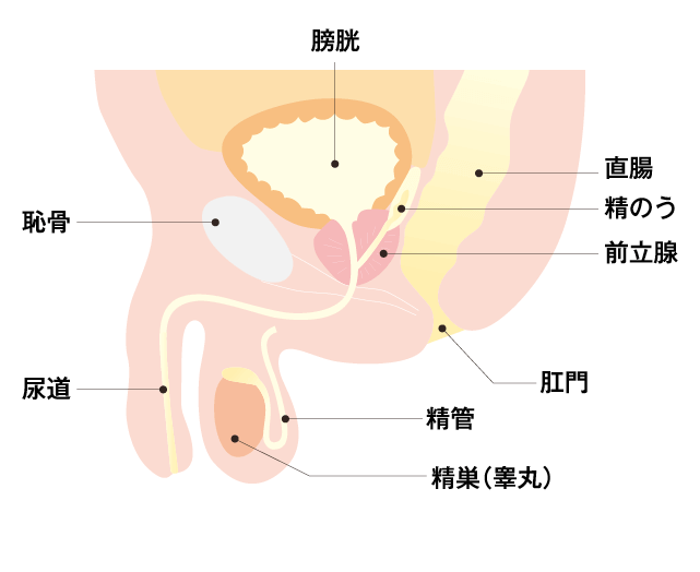 友人がGスポットって最高よねぇ～って話しをよくしてくるのですが、私には何 - Yahoo!知恵袋