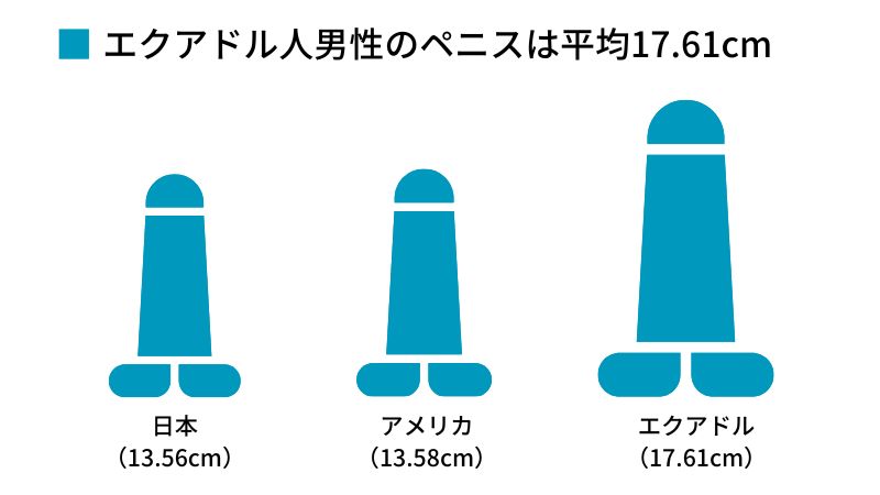 ペニスをサイズアップさせるには