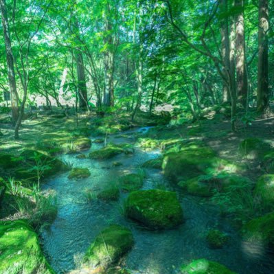 五反田メディカルエン｜五反田｜お店紹介ページ｜週刊エステ