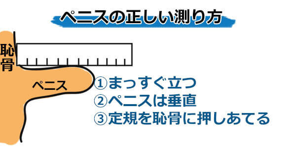 勃起力チェック】フル勃起時の角度や硬さ、持続時間からED診断｜薬の通販オンライン