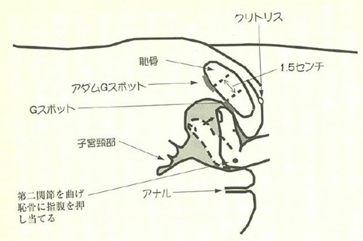 前戯でイクッ！指マン手マンのイキ顔アへ顔画像集 - 性癖エロ画像 センギリ