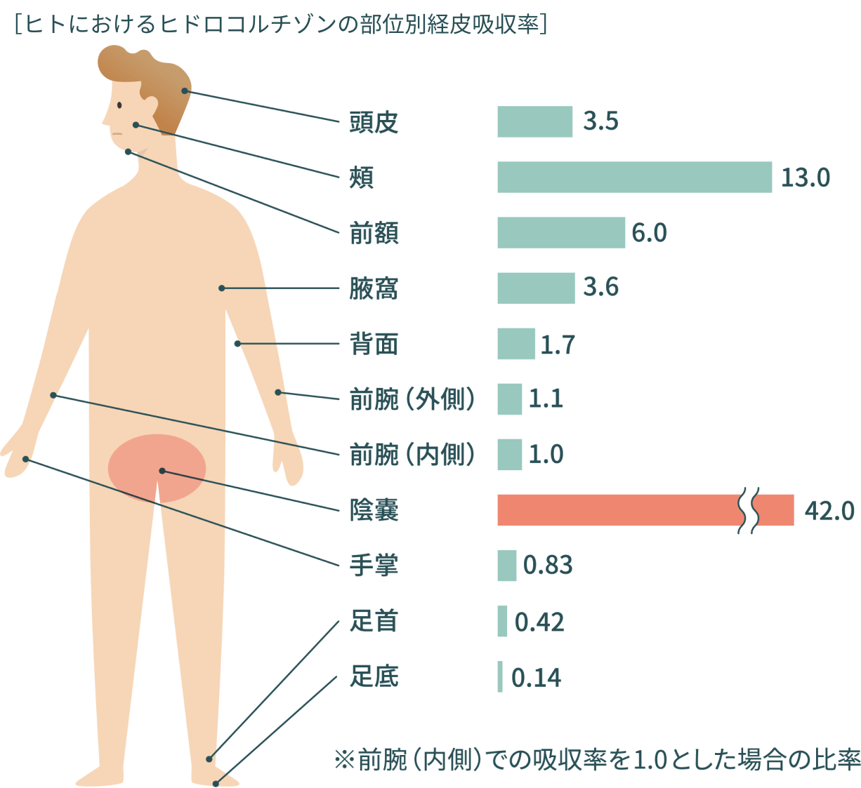 医師監修】ぜにたむしの正しい見分け方と完治する治し方