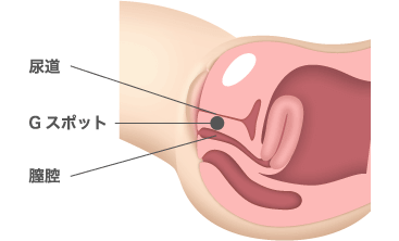 院長コラム] オーガズムを感じたことの無い方へのアドバイス | ゆいクリニック