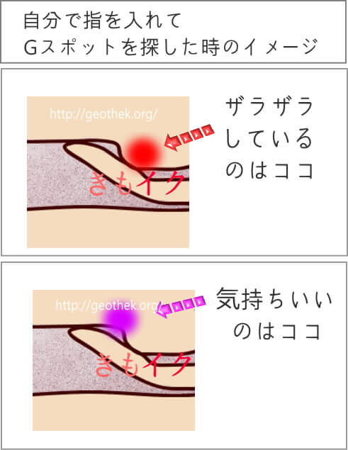 Gスポットがザラザラしてる所はウソ!簡単な見つけ方と開発方法｜裏垢男子で年収2000万