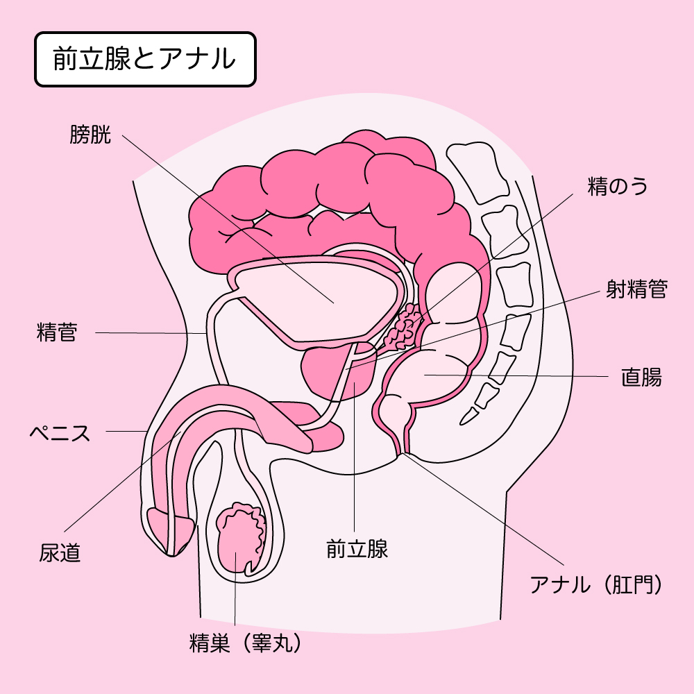 気持ちいいオナニーの種類とやり方25選【男女向け】｜風じゃマガジン