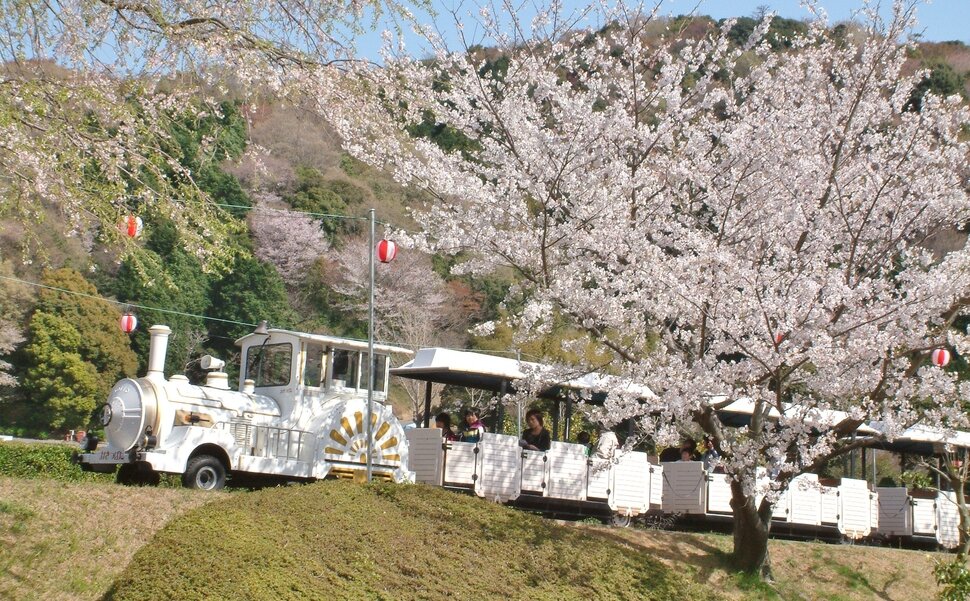 地球犬と行く！世界への冒険 | みんながわかる ちきゅうかんきょうがく