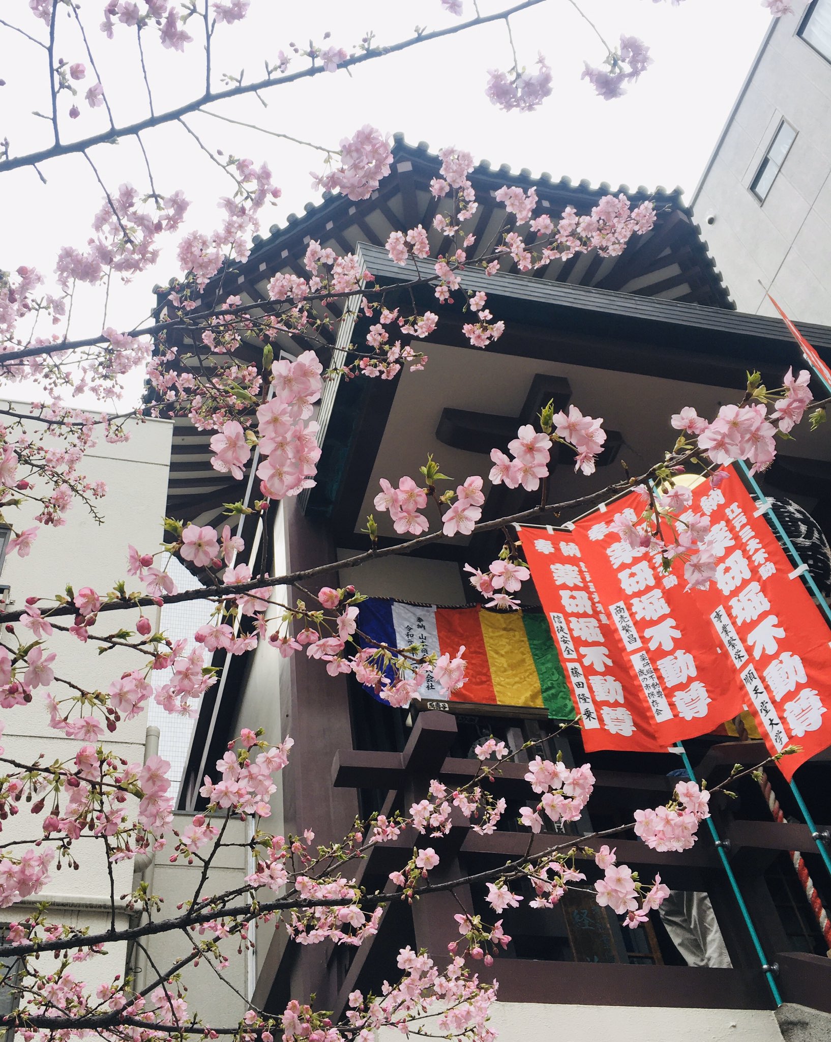 馬喰町駅・馬喰横山駅 のおすすめメンズエステ7店【クーポン付き】｜週刊エステ