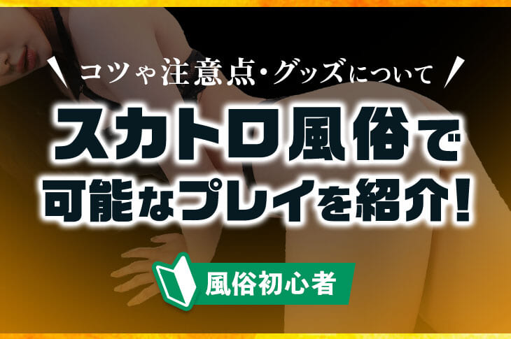 アダルトDVD 通信販売 ADM(アダルトメディア):盗撮!スカトロ風俗店の商品詳細