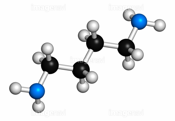 精液って実際どんな味？喫煙者の精液はまずい!?白濁液のアレコレ調べてみた｜BLニュース ちるちる