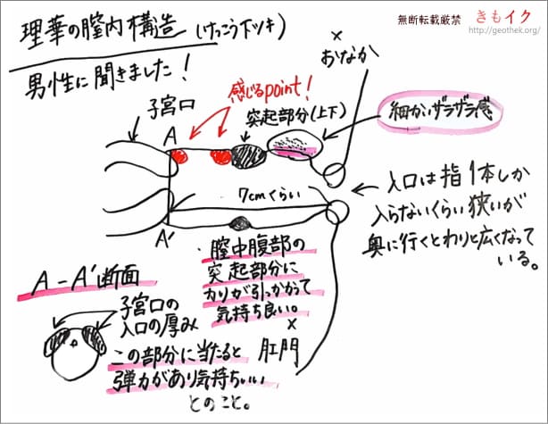 Ｇスポットは？ (携帯電話からの投稿)