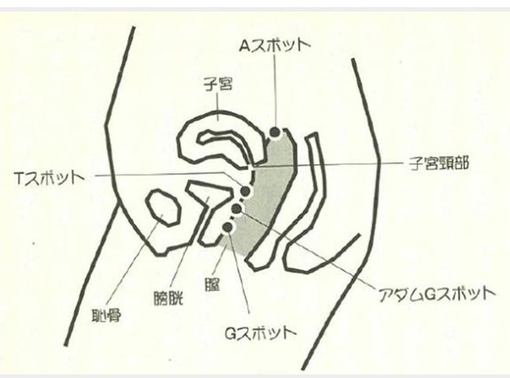 Gスポットが感じないのは不感症？4つの原因と開発して中イキする方法 | 【きもイク】気持ちよくイクカラダ