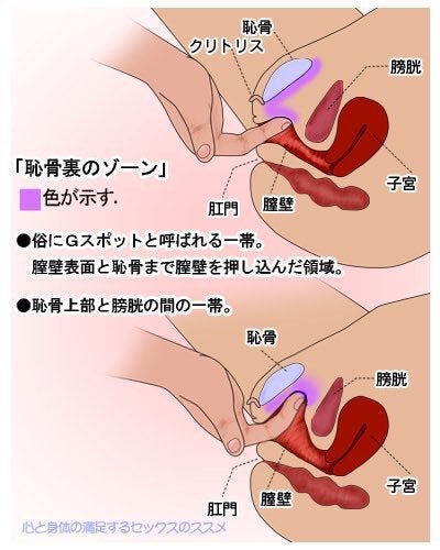 Gスポットの攻め方とは？メリット・開発方法・攻めるコツを解説 - メンズラボ